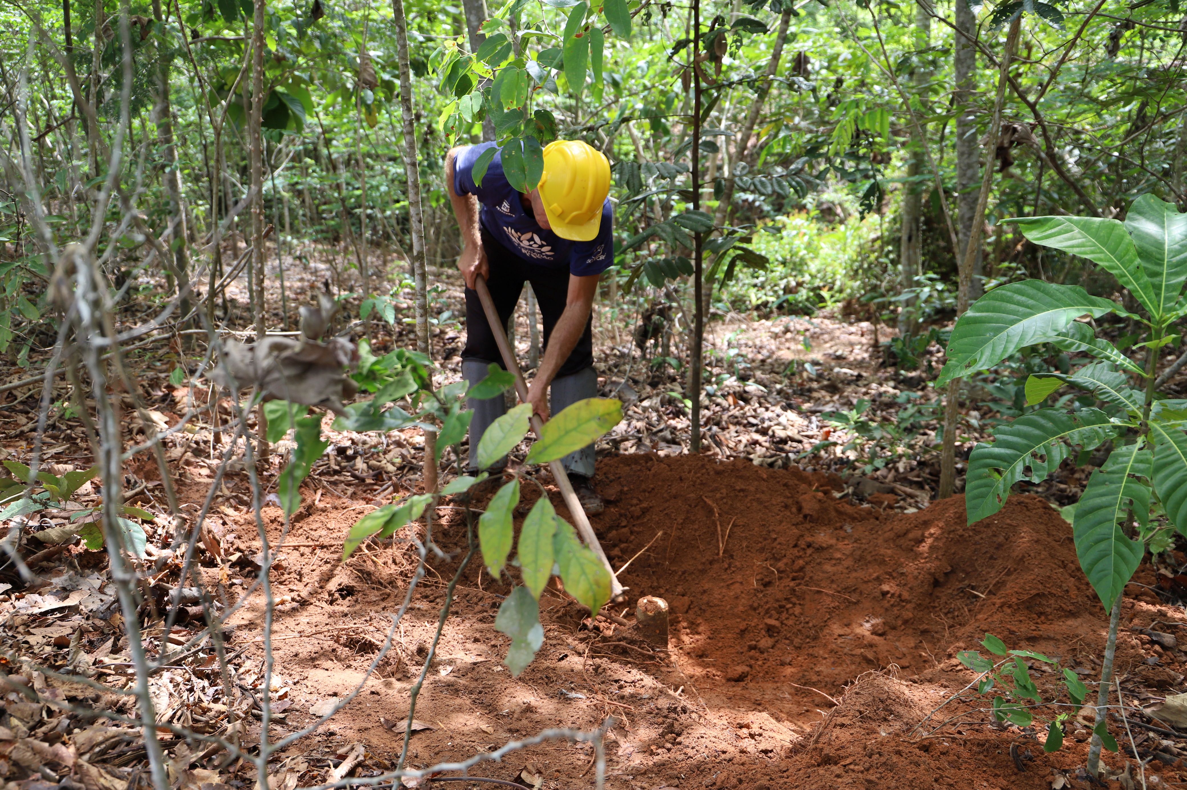Imagem ilustrativa de atividade de medição de carbono no bioma Amazônia
